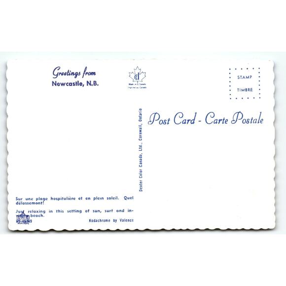 Vintage Newcastle NB Beach Crowded Summer Scene Lithograph Postcard - Picture 2 of 2